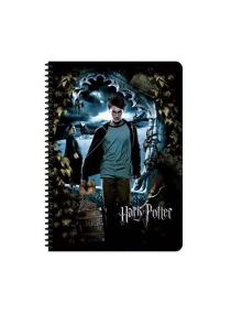 DEFTER SPİRALLİ A4 60 YP KARELİ HARRY POTTER 380612-07