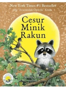 CESUR MİNİK RAKUN / BUTİK